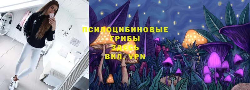 Псилоцибиновые грибы MAGIC MUSHROOMS  Бирюч 